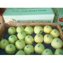 Fresh Chinese Exporting Standard Golden Apple